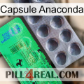 Anaconda Capsule new04